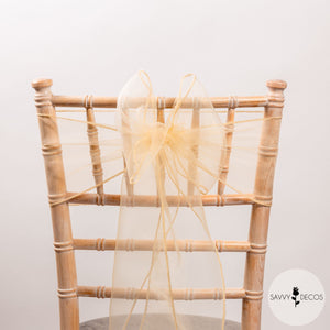 Champagne Sheer Organza Sashes